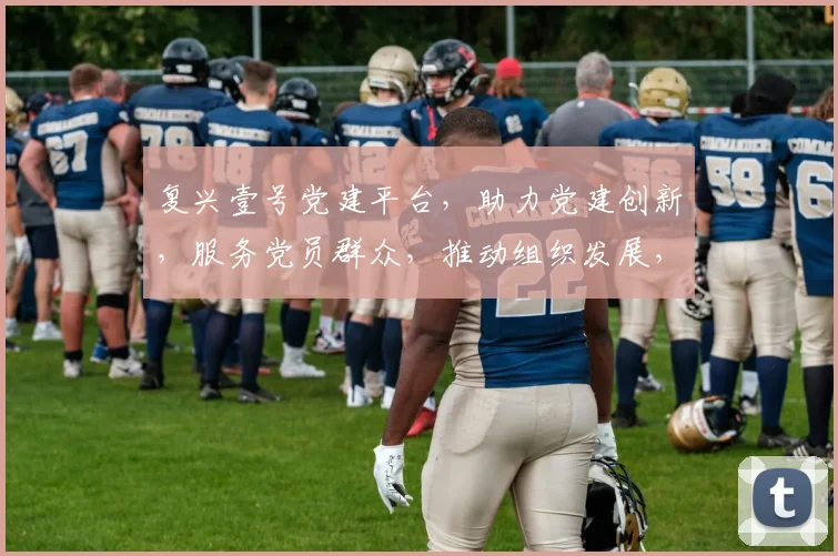 复兴壹号党建平台，助力党建创新，服务党员群众，推动组织发展，打造智慧党建新格局。