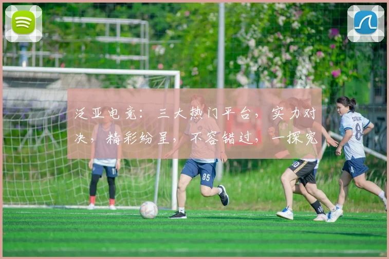 泛亚电竞：三大热门平台，实力对决，精彩纷呈，不容错过，一探究竟
