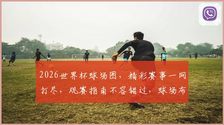 2026世界杯球场图，精彩赛事一网打尽，观赛指南不容错过，球场布局解析大揭秘
